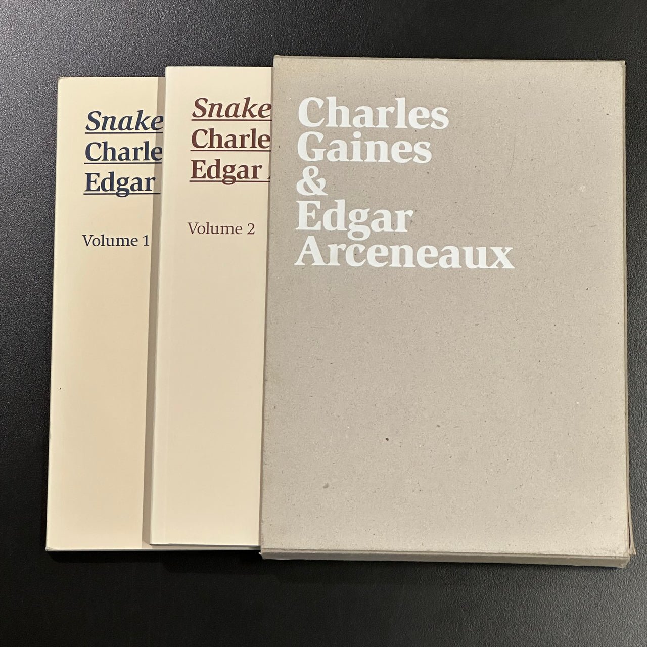 Snake River: Charles Gaines & Edgar Arceneaux