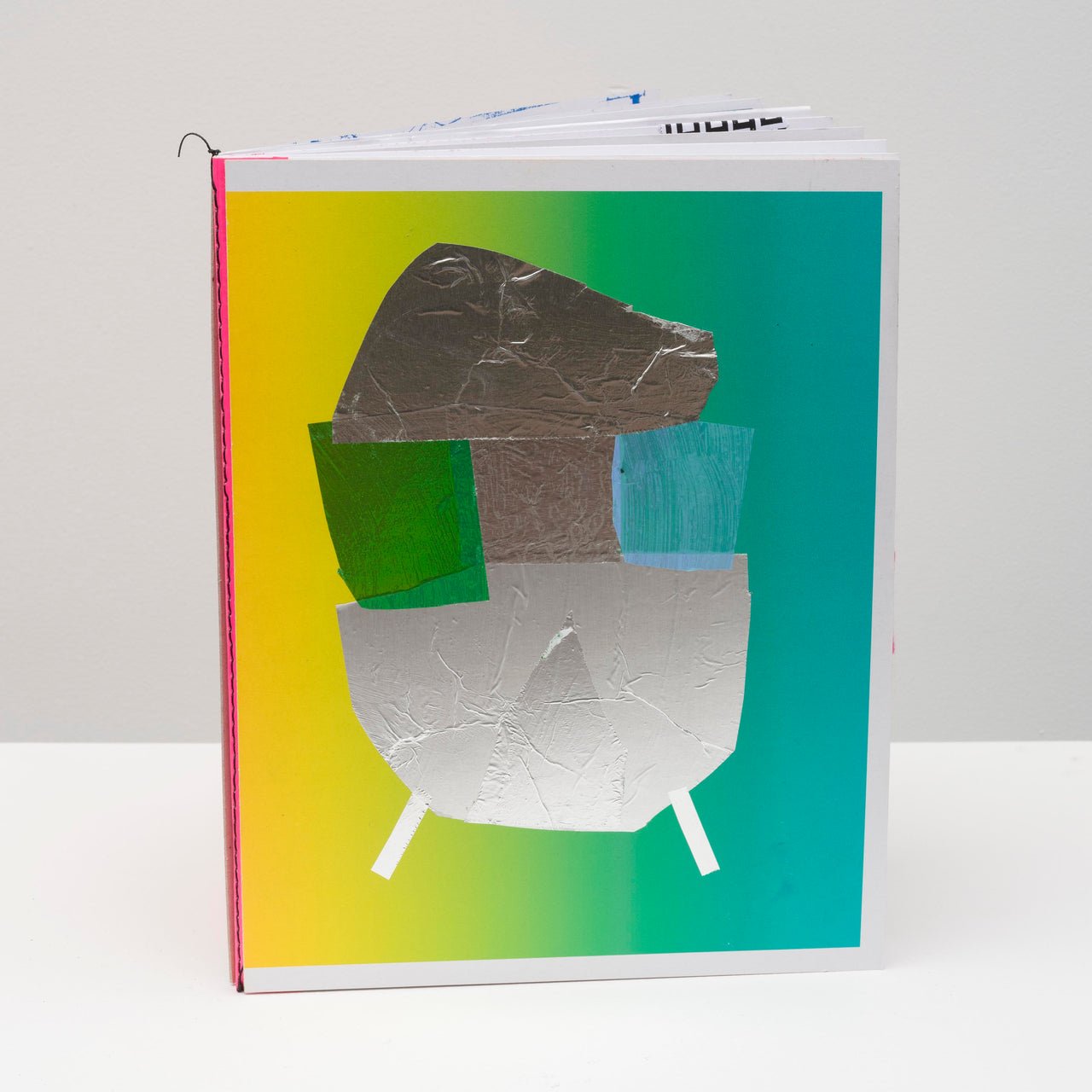 Esther Pearl Watson, Special Edition Zine
