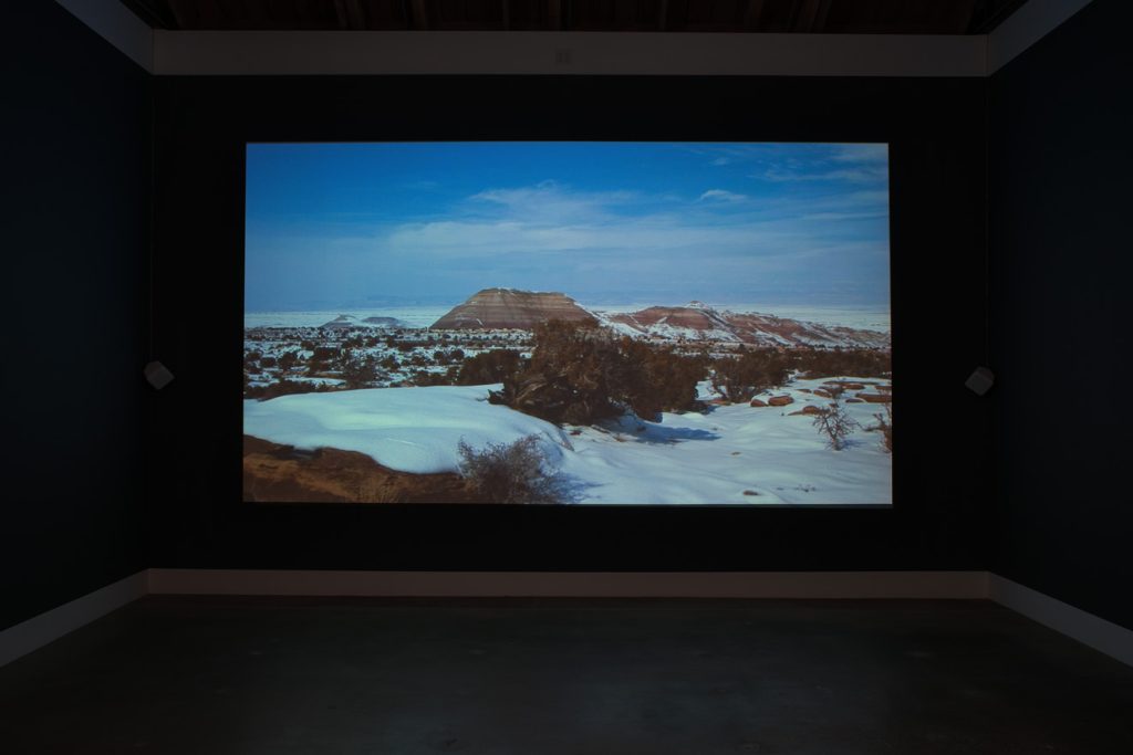 Andrea Bowers, The United States v. Tim DeChristopher, 2010, Single Channel HD video (color with sound), Blu-Ray Disc, Blu-Ray Disc player, projector, speakers, 16:15 minutes looped