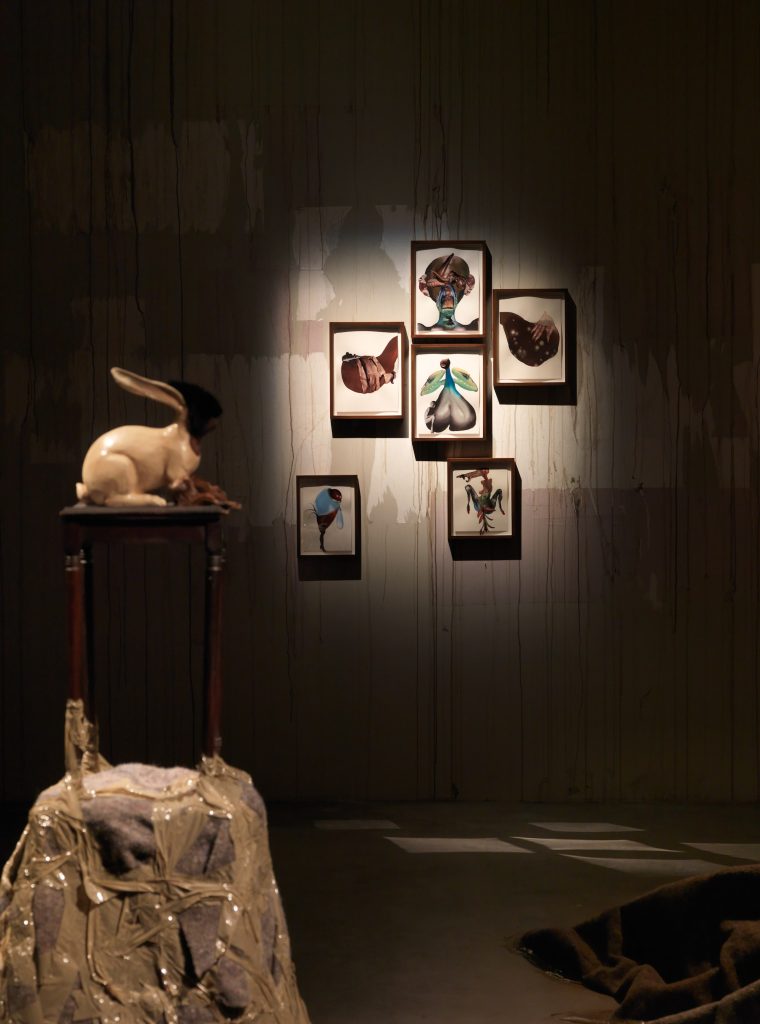Wangechi Mutu, Installation View, Courtesy of WIELS, Brussels, Photo: Filip Van Zieleghem
