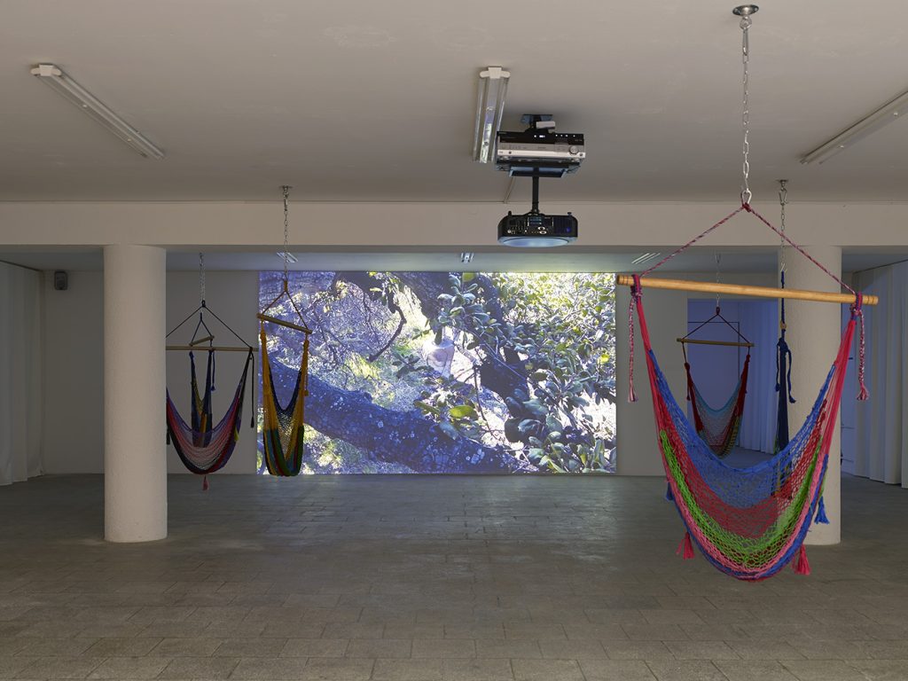 Andrea Bowers, "I Plan to Stay a Believer - The Arcadia 4 Tree Sit", Blu-ray, Loop, RT 1:00:55, Dimensions variable, Edition 1/5, 2 AP, Installation view, 2013, Capitain Petzel Berlin, Photo: Nick Ash, Courtesy Capitain Petzel, Berlin