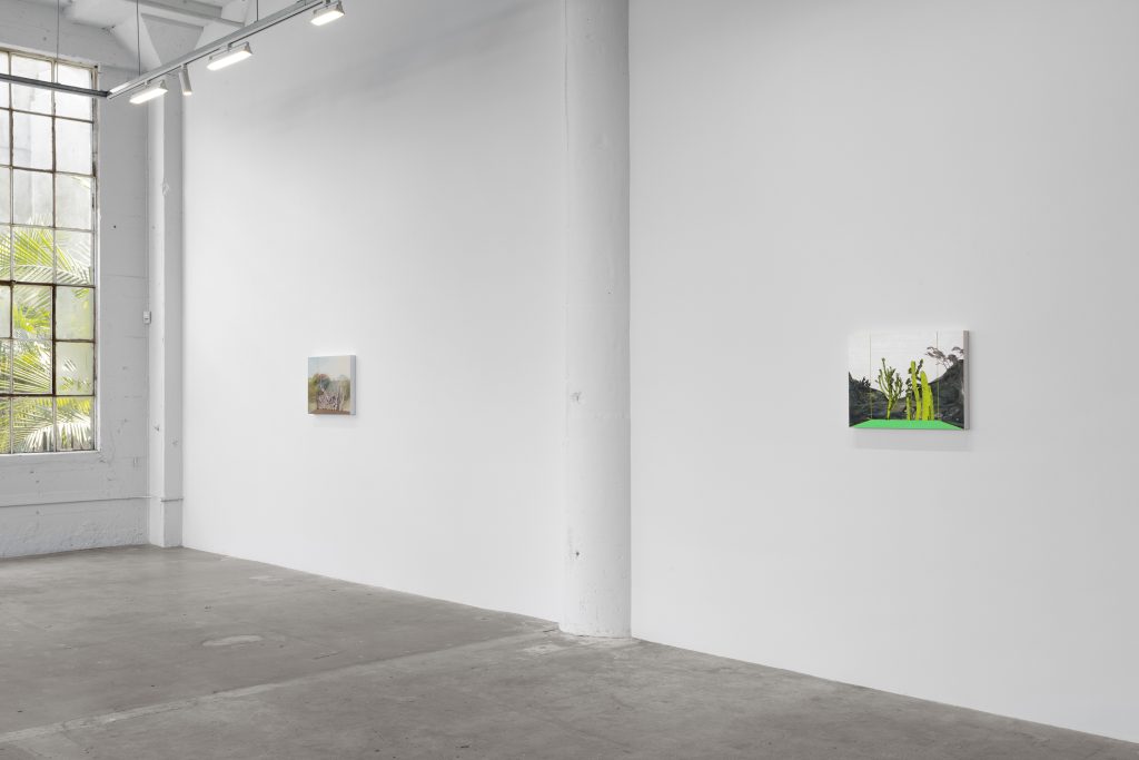 Whitney Bedford Reflections on the Anthropocene, Installation View