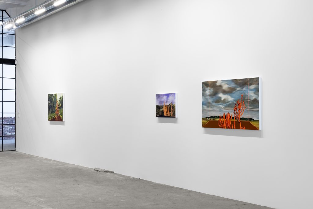 Whitney Bedford Reflections on the Anthropocene, Installation View