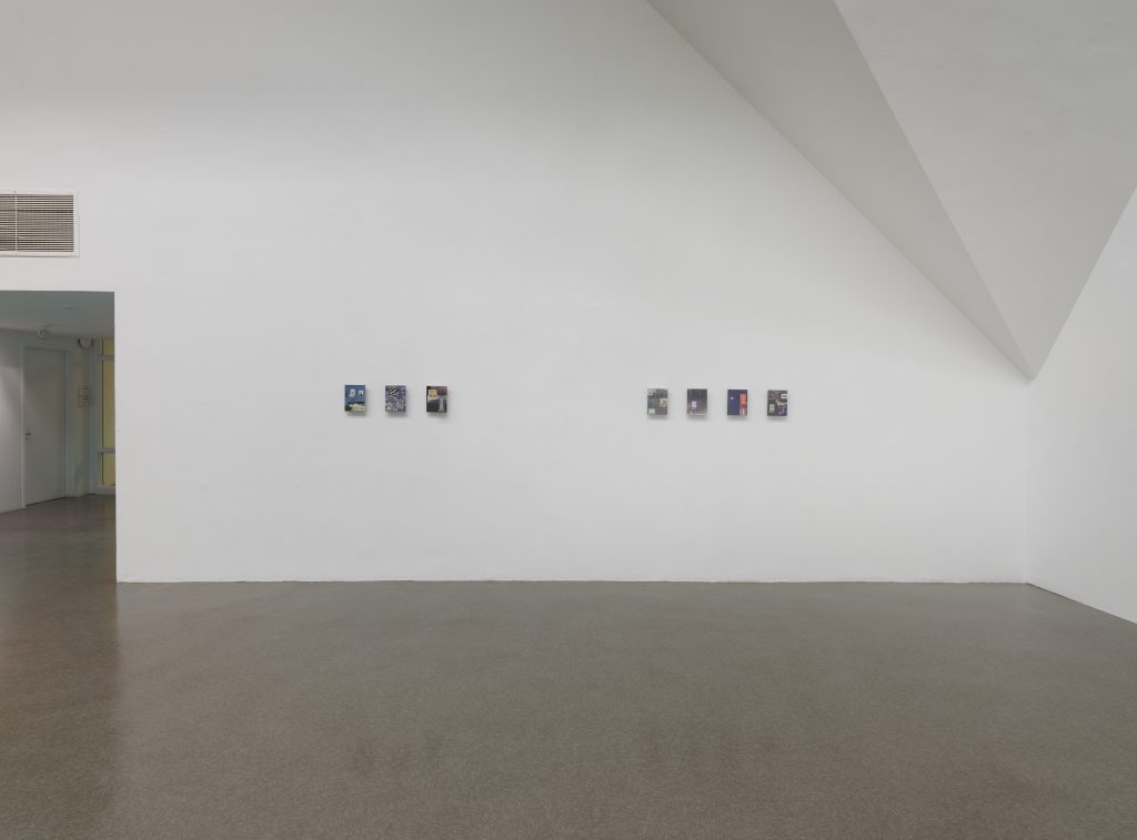 "Shared Eye" Installation View