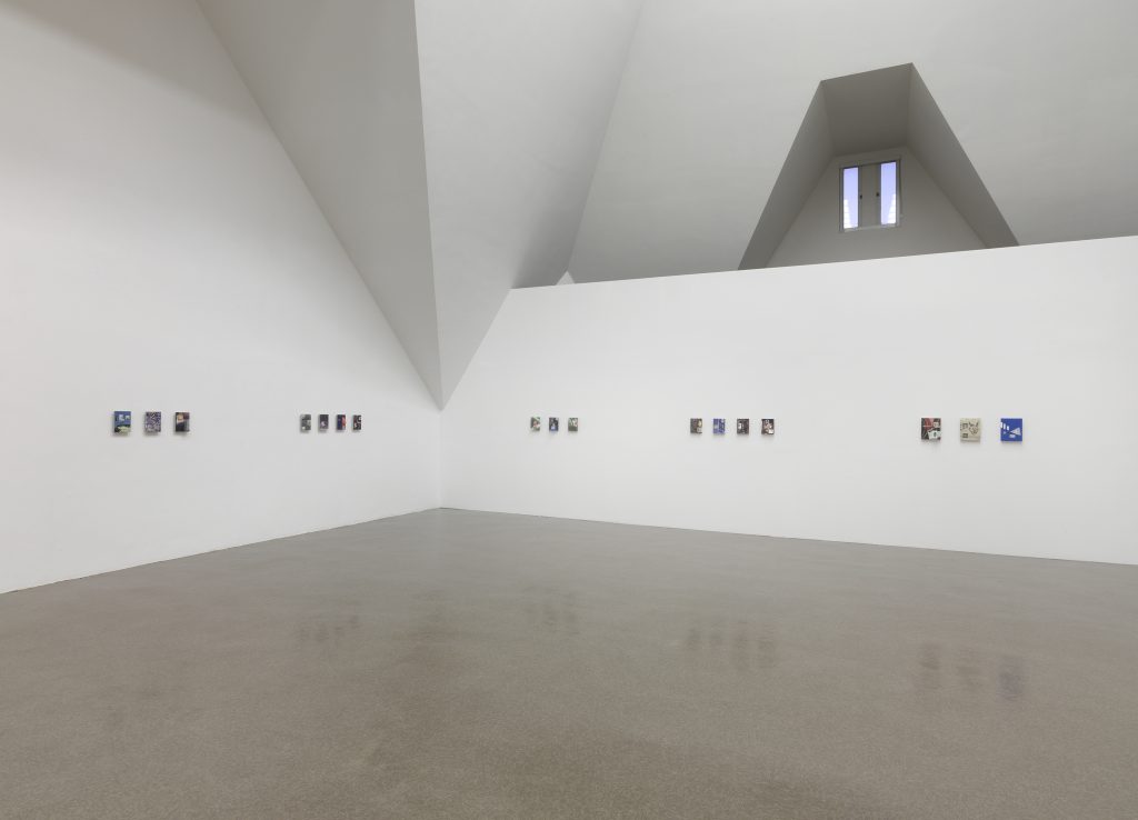 "Shared Eye" Installation View