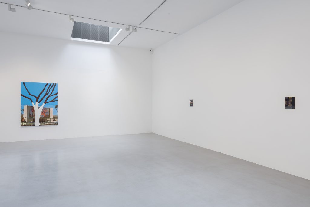 "Sleep Rock," Installation View