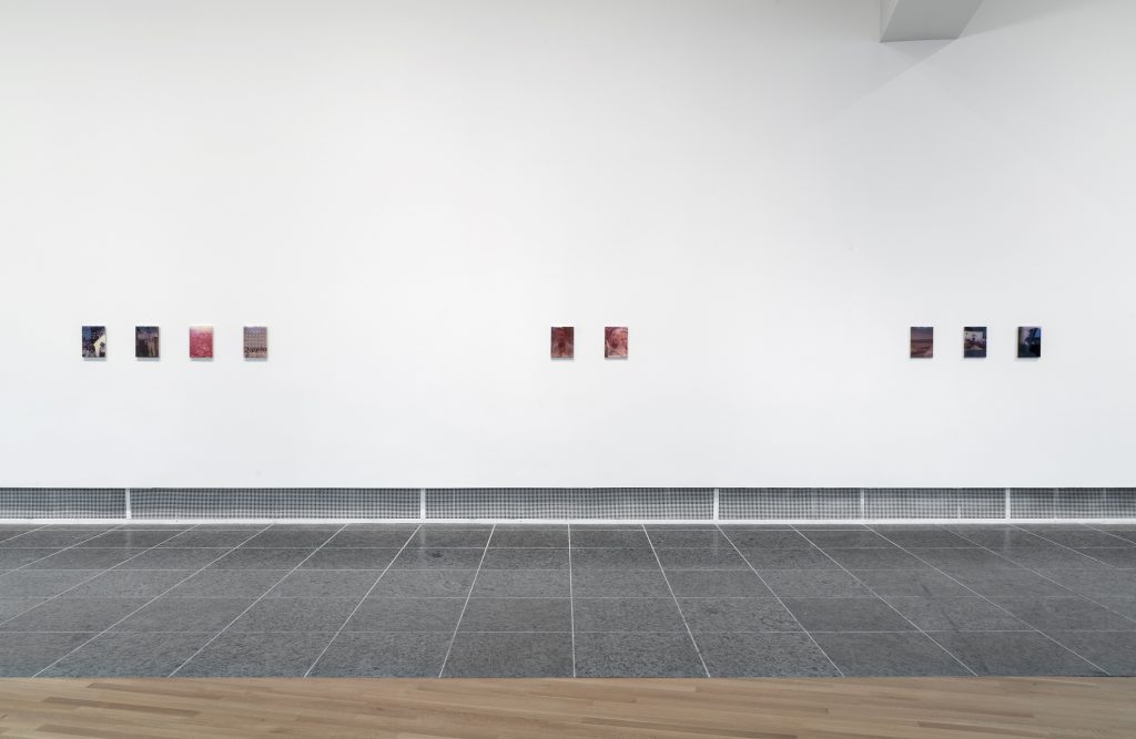 "Pain Thing," Installation View