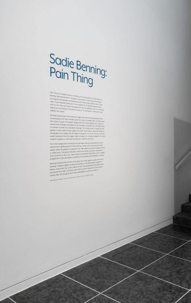 "Pain Thing," Installation View