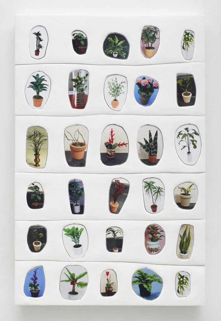 Sadie Benning “Plants"