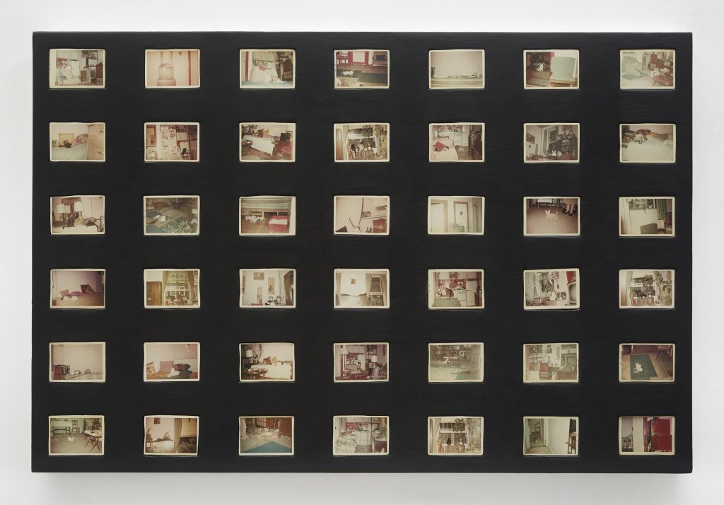 Sadie Benning “Cats,” 2018