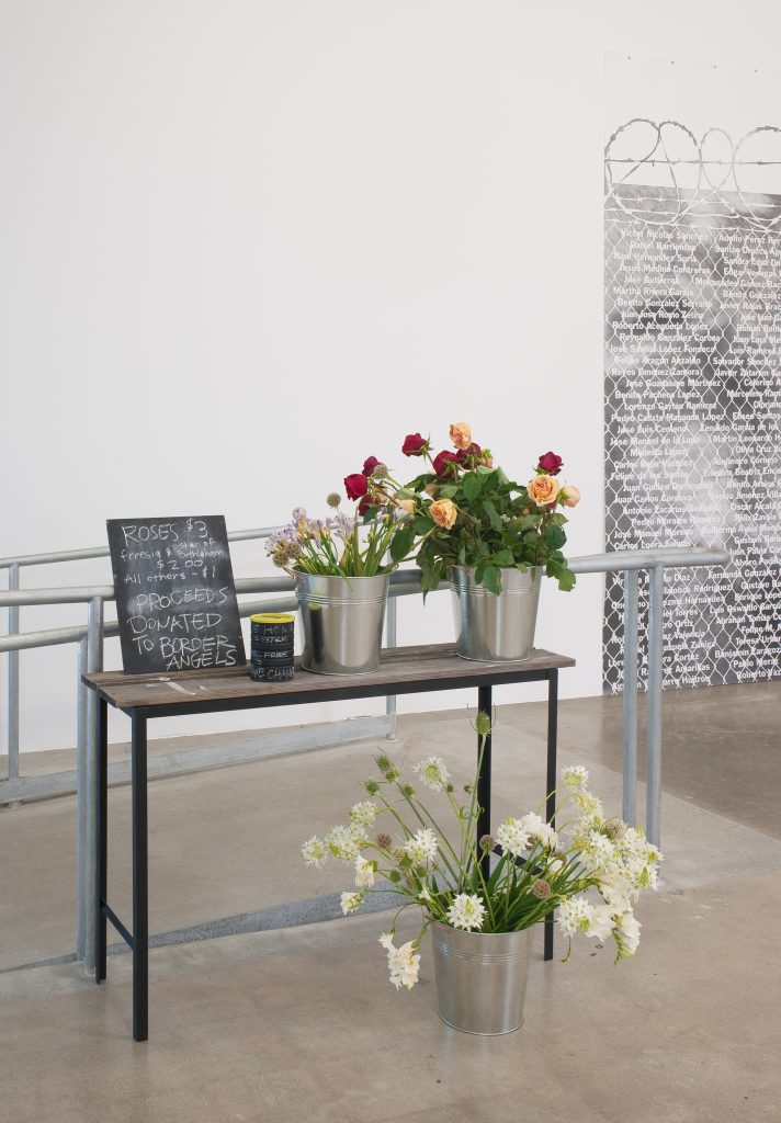 Andrea Bowers: The Political Landscape Installation view