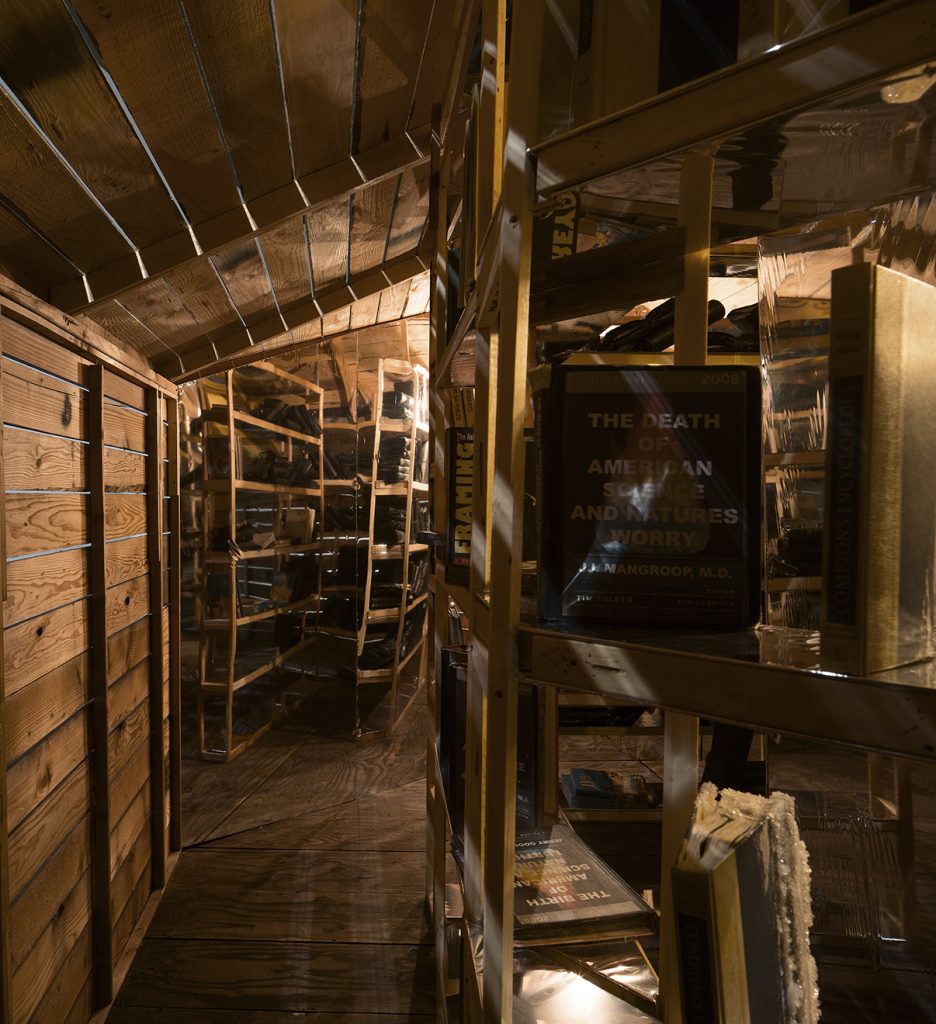 Edgar Arceneaux, "Library of Black Lies," Interior