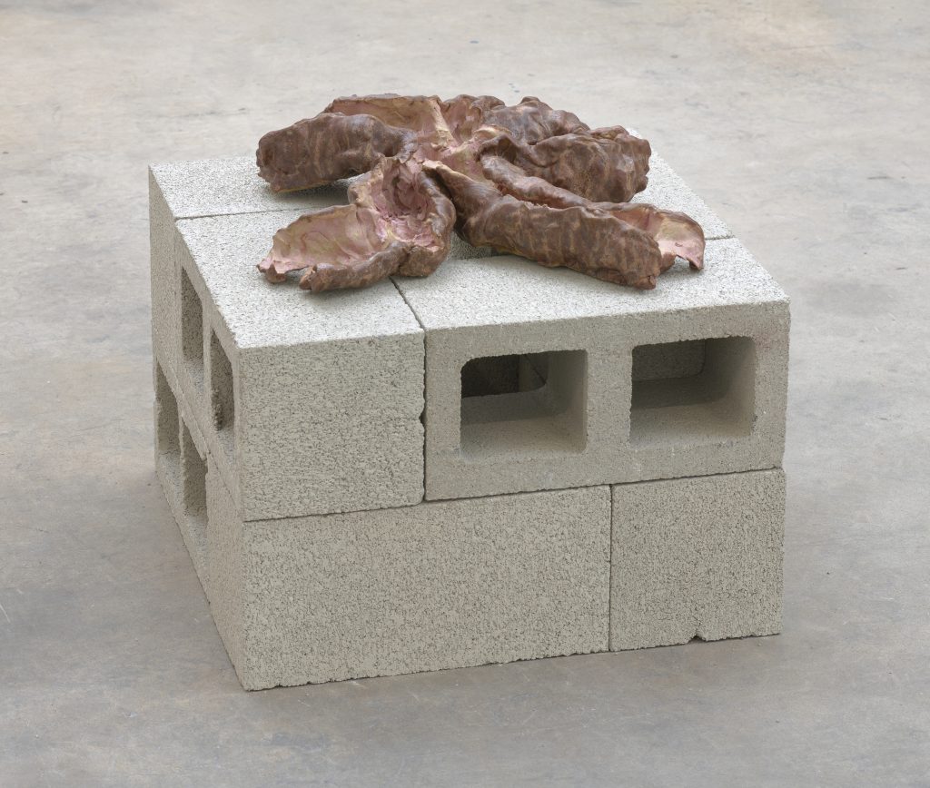 Liz Glynn “Unearthed Underground / Organ System,” 2019