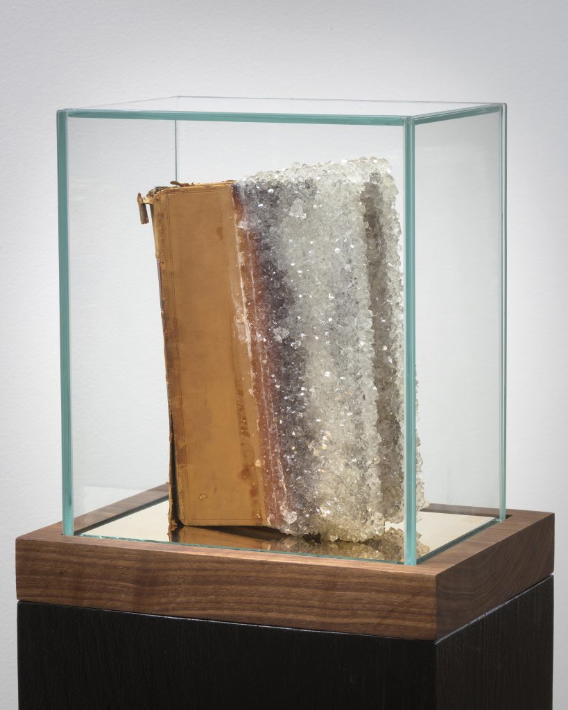 Edgar Arceneaux, Commentaries, 2017, Book, crystalized sugar/glass, mirror, pedestal, 51.25 x 9.5 x 12.5" [HxWxD], Photo credit: Robert Wedemeyer