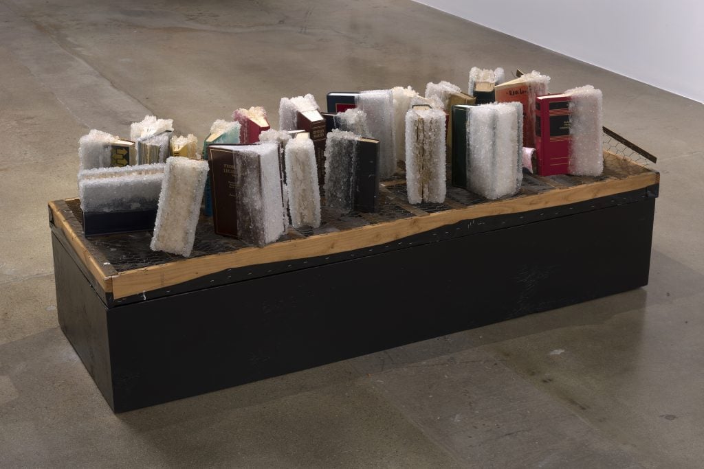 Edgar Arceneaux, False Equivalencies, 2017, Books, crystallized sugar, wood, chicken wire, plastic sheet, 28 x 24.5 x 13.5" [HxWxD], Photo credit: Robert Wedemeyer
