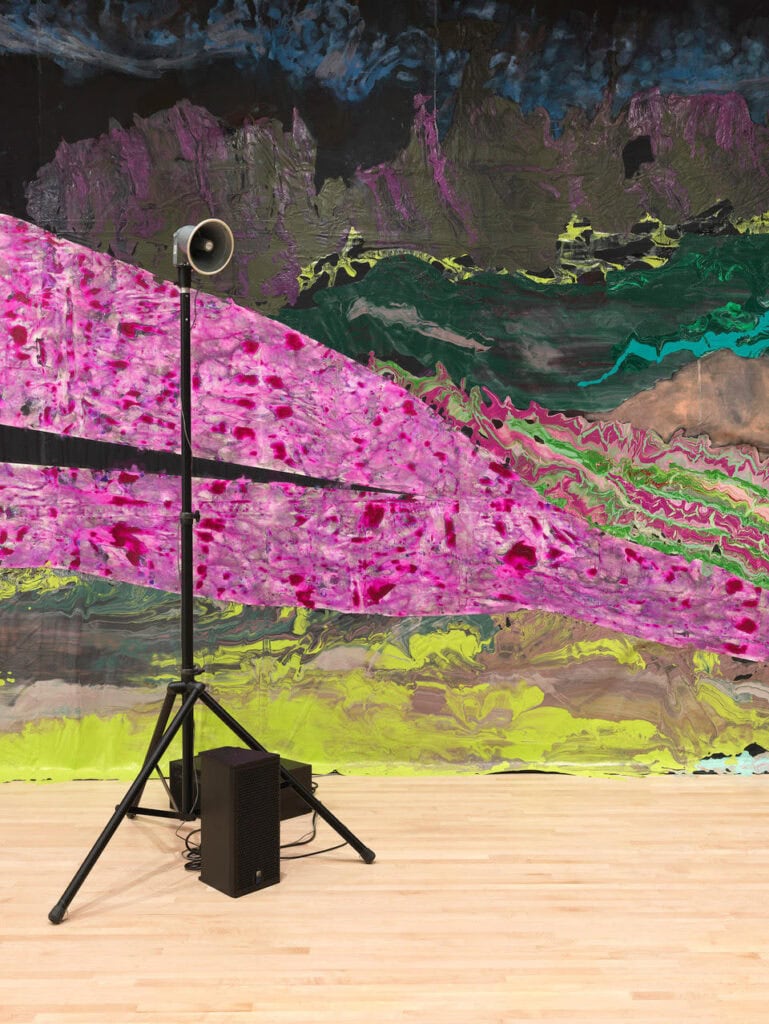 Installation view New Work: Rodney McMillian