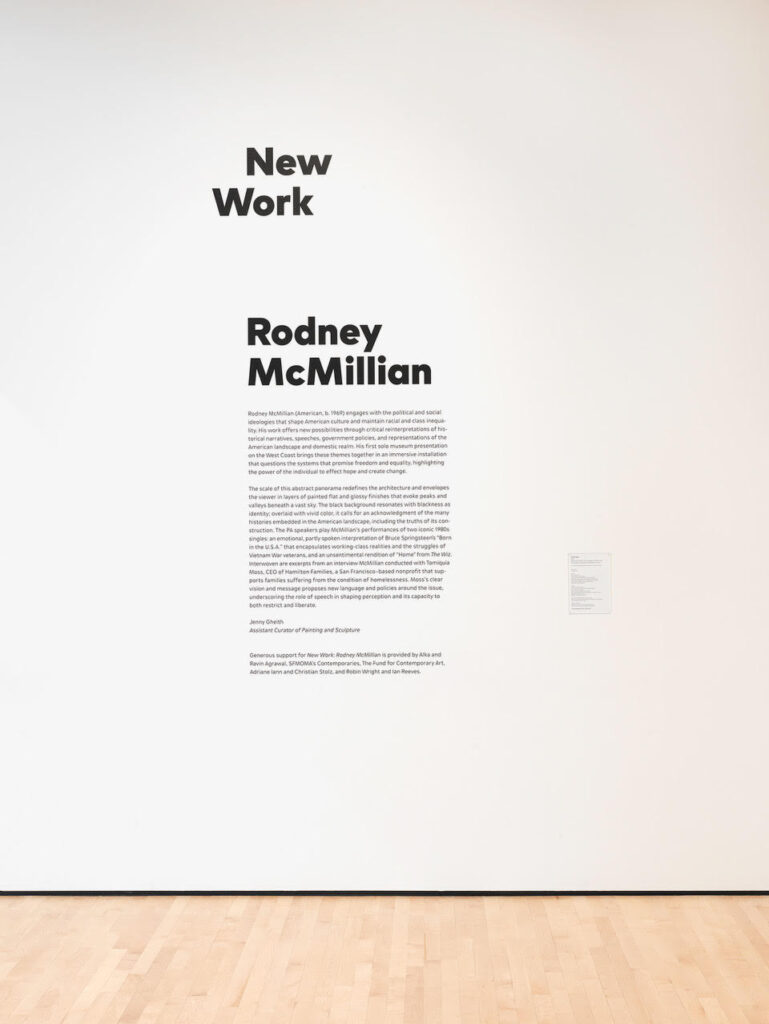 Installation view New Work: Rodney McMillian