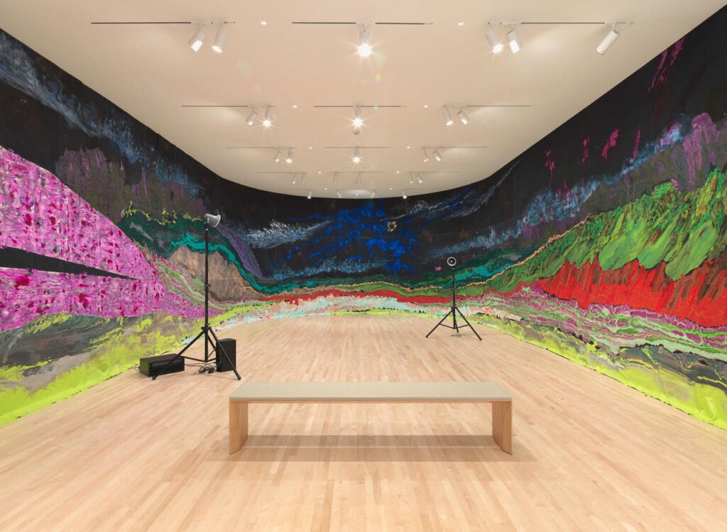 Installation view New Work: Rodney McMillian