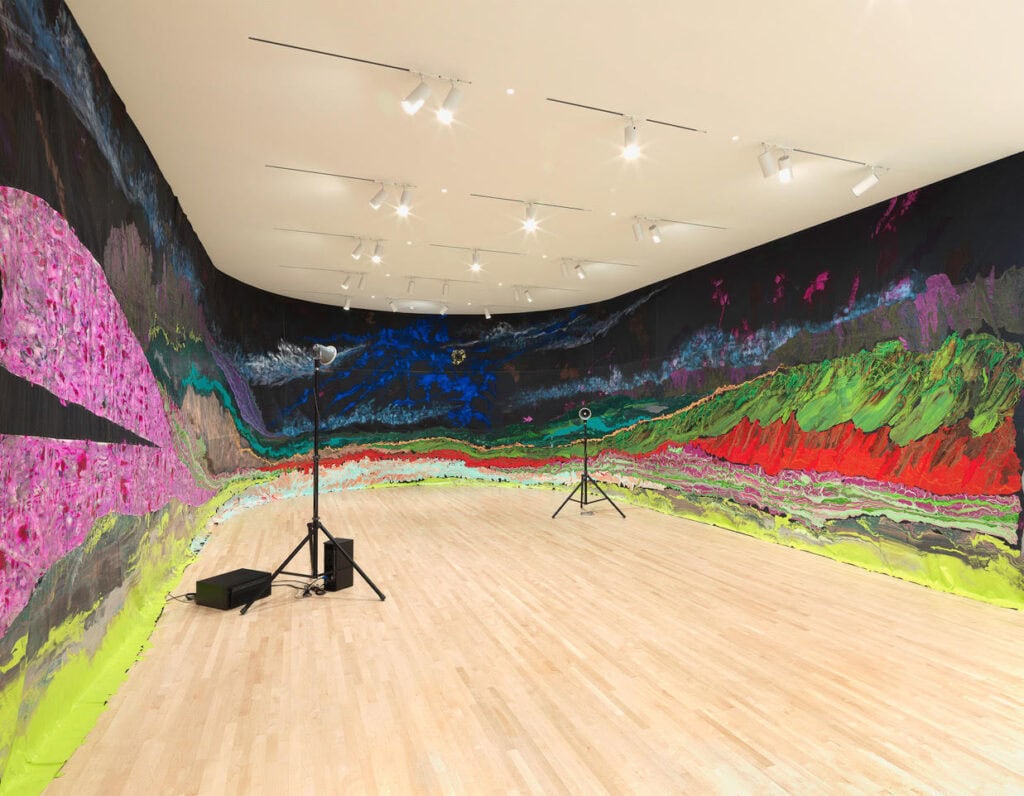 Installation view New Work: Rodney McMillian