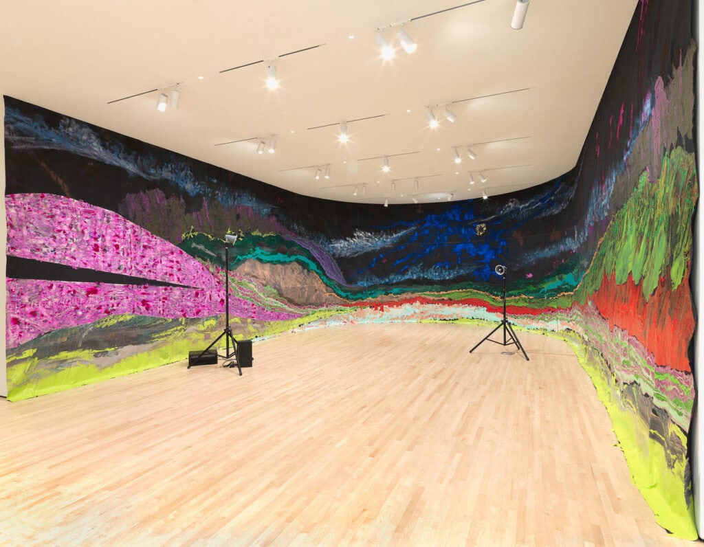 Installation view New Work: Rodney McMillian
