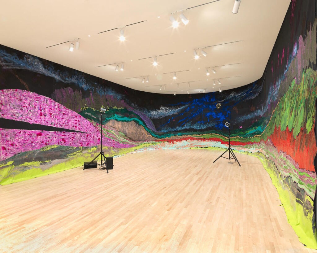 Installation view New Work: Rodney McMillian