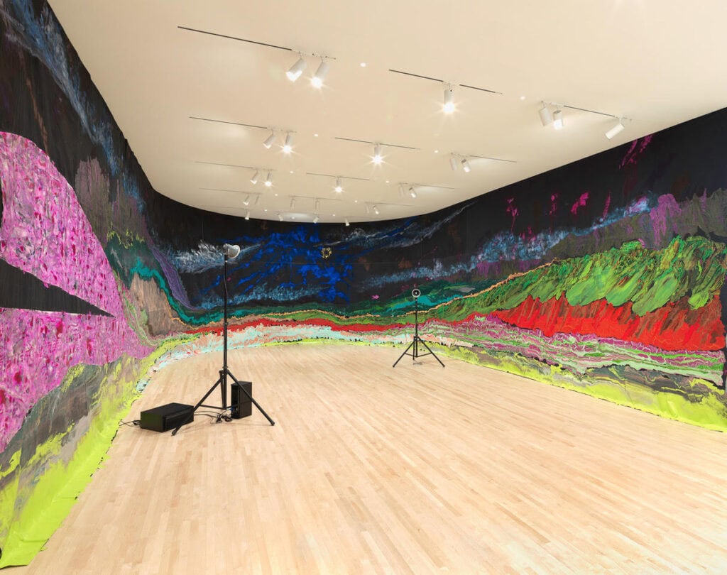 Installation view New Work: Rodney McMillian