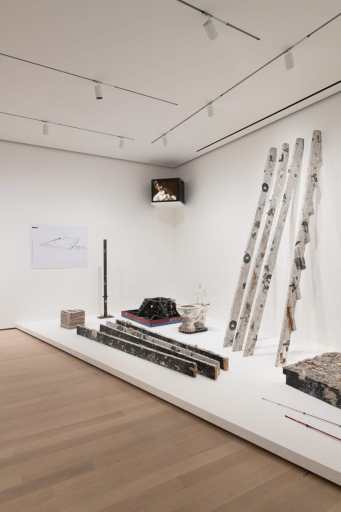 Installation view of member: Pope.L, 1978–2001, The Museum of Modern Art, New York, October 21, 2019 – February 1, 2020. © 2019 The Museum of Modern Art. Photo: Martin Seck
