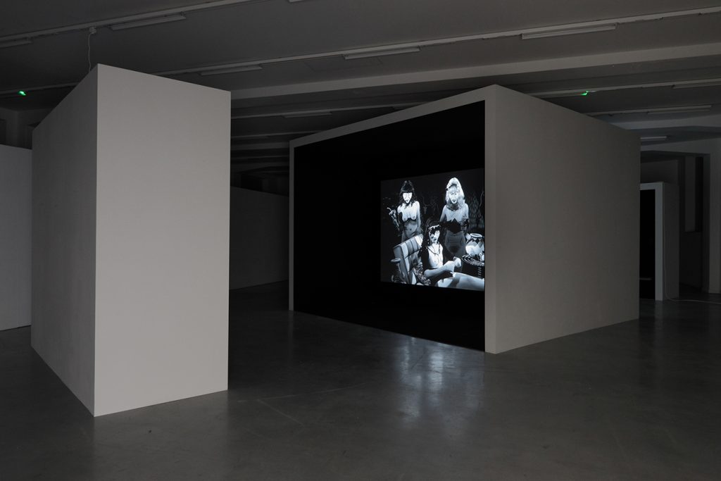 Mary Reid Kelley & Patrick Kelley, Installation View