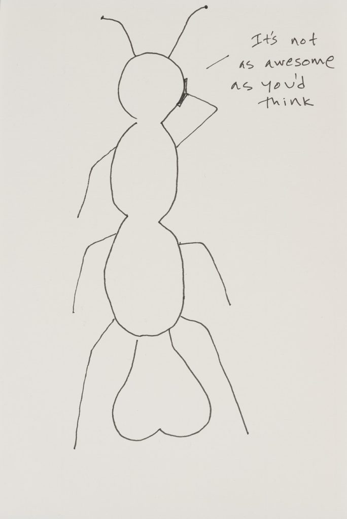 Stanya Kahn, it's not as awesome as you think, 2012, Ink on paper, 8