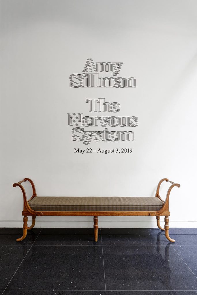 Amy Sillman: The Nervous System Installation view