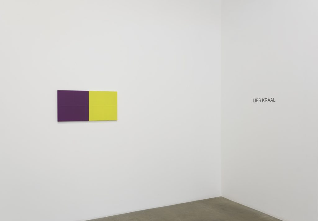 Lies Kraal, Installation View, Photo cred: Robert Wedemeyer