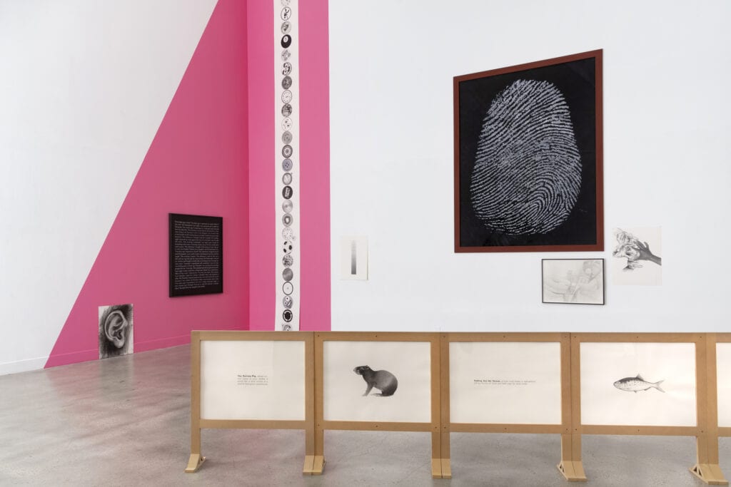 This image illustrates a link to the exhibition titled Karl Hanedel<br><i>Less Bad</i>