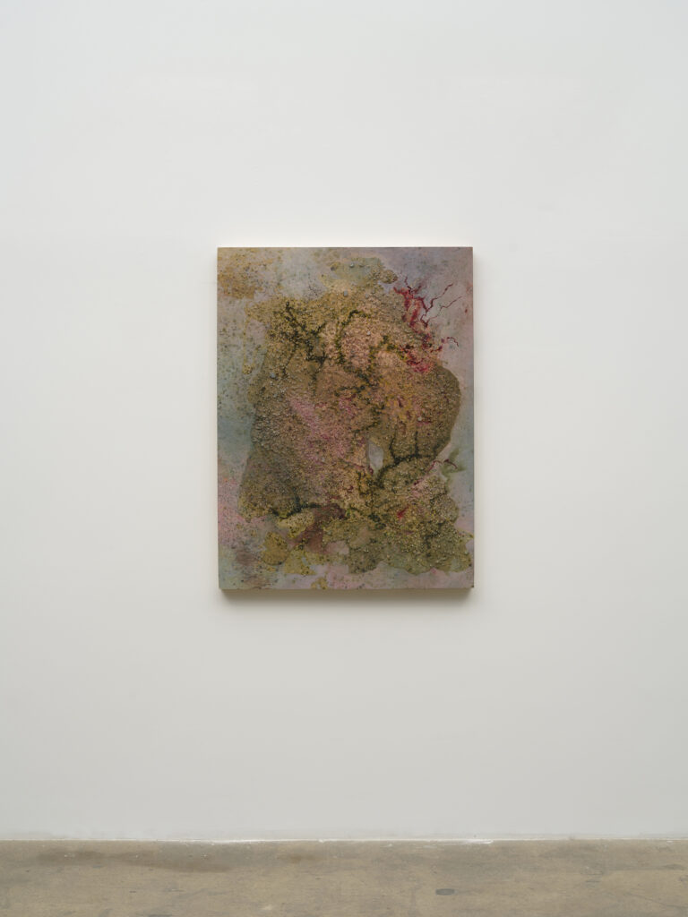 This image depicts an artwork by Tonia Calderon titled "I wrote you letters. That’s how I know.." This artwork was created in 2025 and measures 48" x 36" [HxW] (121.92 x 91.44 cm). Its medium is Acrylic, floral pigment, ink, fuel, sand, glass and resin on panel.