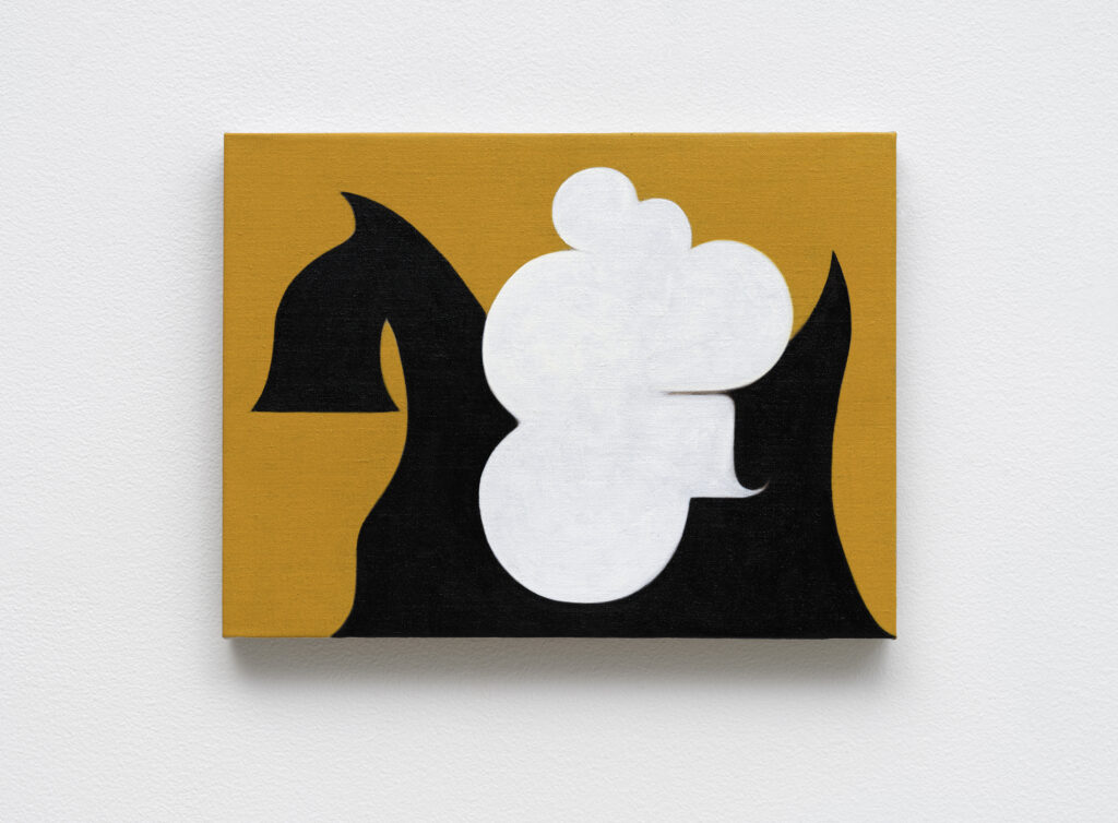 This image illustrates a link to the exhibition titled Math Bass in Galerie Magazine