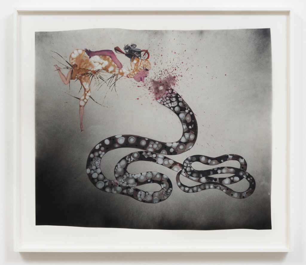 This image illustrates a link to the exhibition titled Wangechi Mutu in<br><i>New Humans: Memories of the Future</i>