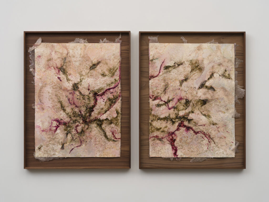 This image illustrates a link to the exhibition titled Tonia Calderon <br><i>Endless</i>