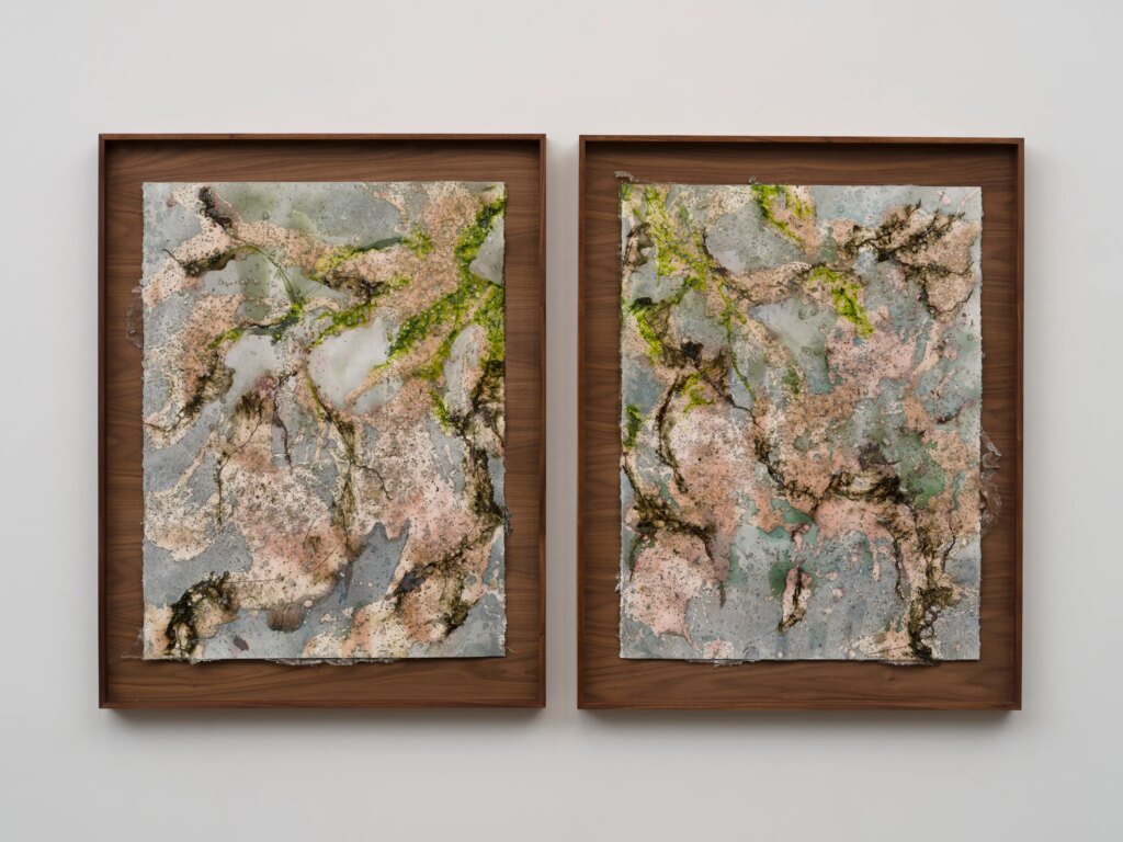 This image depicts an artwork by Tonia Calderon titled "I let all the leaves gather at my feet. And then I looked up, it was spring.." This artwork was created in 2026 and measures 30" x 22" [HxW] (76.2 x 55.88 cm) each unframed35 ³⁄₄" x 27 ³⁄₄" x 2" [HxWxD] (90.8 x 70.48 x 5.08 cm) each framed. Its medium is Acrylic, Oil, Floral Pigment, Ink, Fuel, Sand, Glass and Resin on Paper.