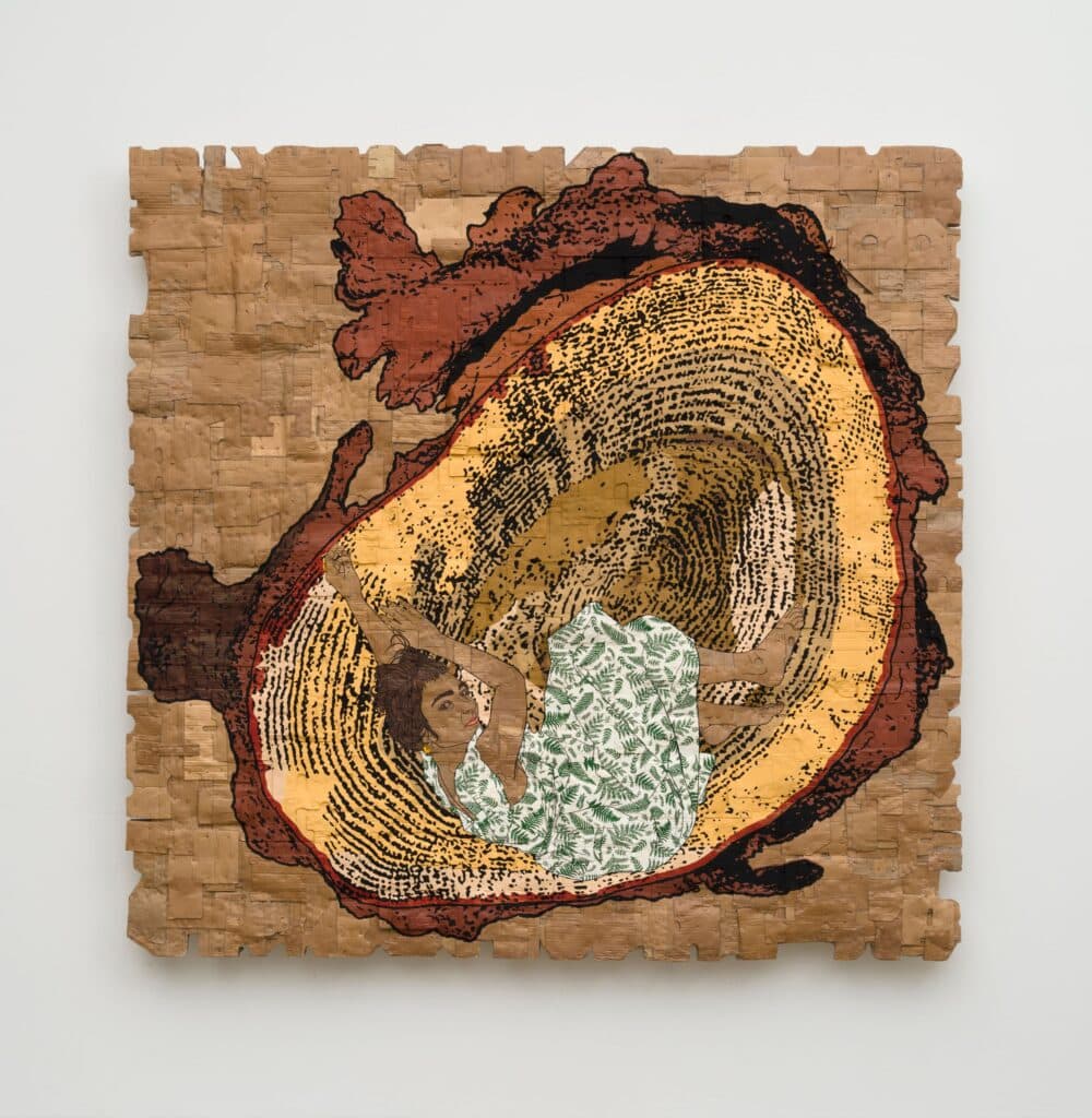 This image illustrates a link to the exhibition titled Andrea Bowers in<br><i>Future Geographies: Art in the Century of Climate Change</i>