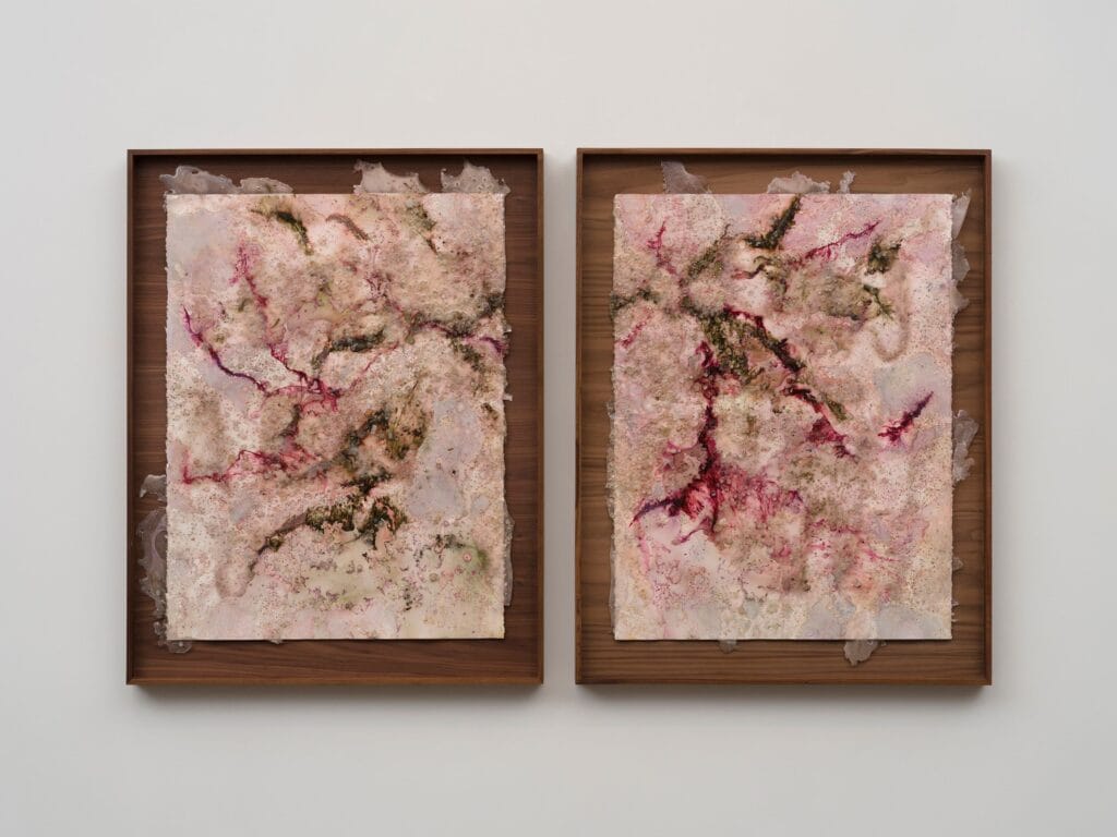 This image depicts an artwork by Tonia Calderon titled "Our children live in the flowers. I hope this reminds you to live small.." This artwork was created in 2026 and measures 30" x 22" [HxW] (76.2 x 68.58 cm) each unframed 35 ³⁄₄" x 27 ³⁄₄" x 2" [HxWxD] (90.8 x 70.48 x 5.08 cm) each framed. Its medium is Acrylic, Oil, Floral Pigment, Ink, Fuel, Sand, Glass and Resin on Paper.
