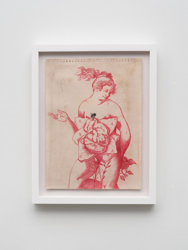 This image depicts an artwork by Ariane Vielmetter titled "Pollinator." This artwork was created in 2019 and measures 14 ³⁄₄" x 11" [HxW] (37.47 x 27.94 cm) 18 ¹⁄₄" x 14 ¹⁄₄" x 1 ¹⁄₄" [HxWxD] (46.35 x 36.19 x 3.17 cm) Framed. Its medium is Gesso, watercolor pencil, and beet juice on paper.